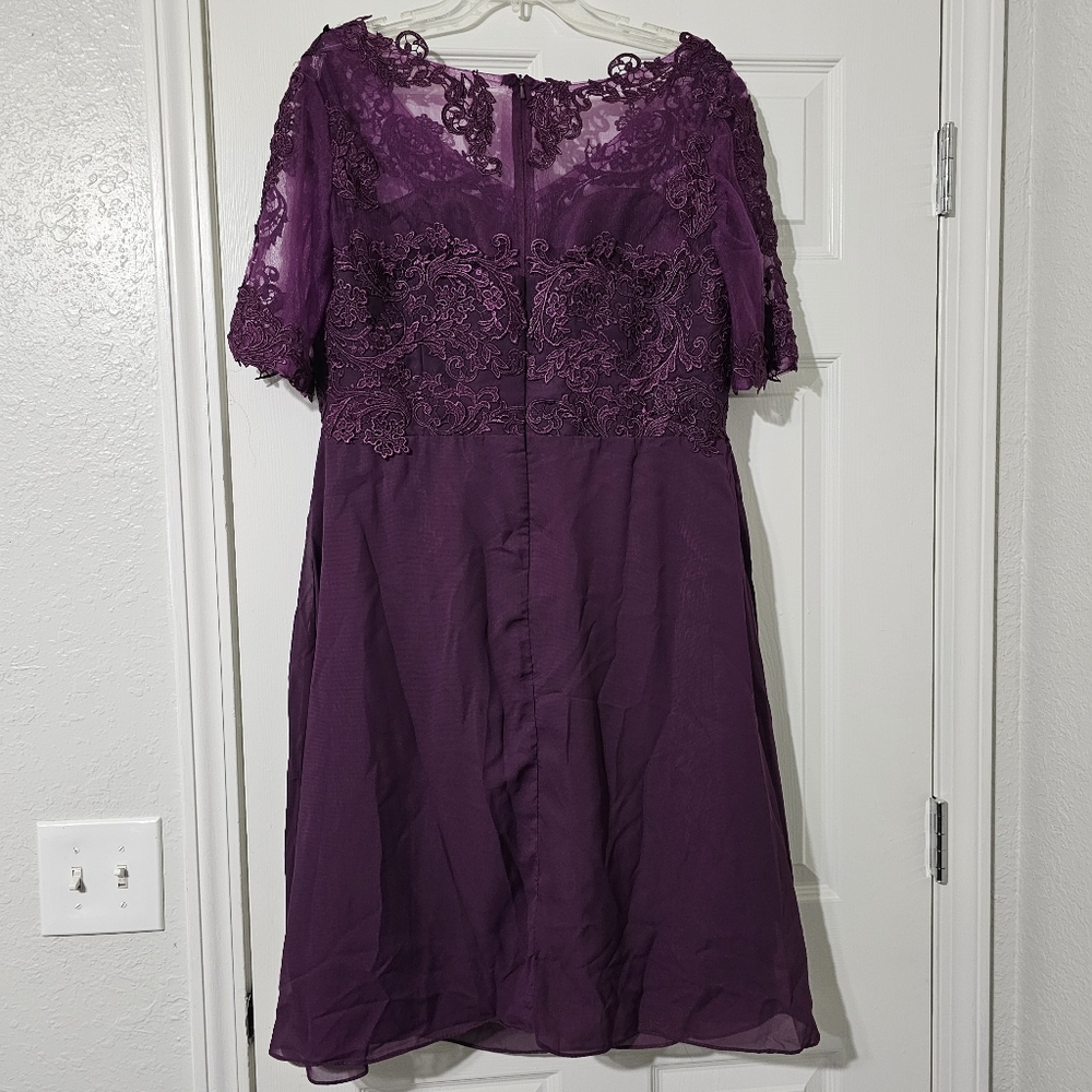 Plun Sheer Lace Occasion Dress - Picture 2 of 7